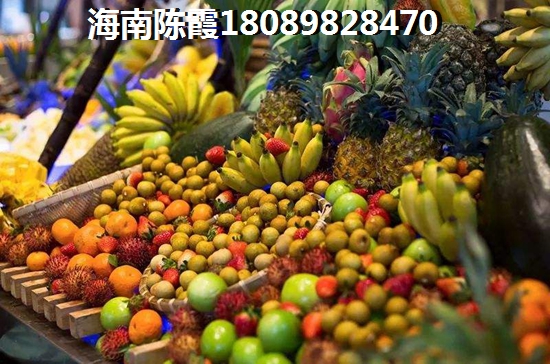 外地人如何在海南买房，海南买房离海边多少公里醉好